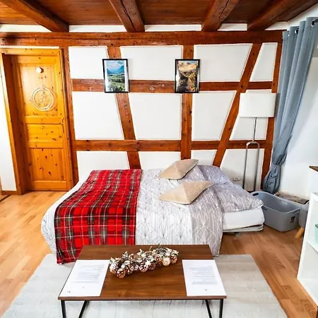 Apartment Refuge Des Vignerons - Turckheim