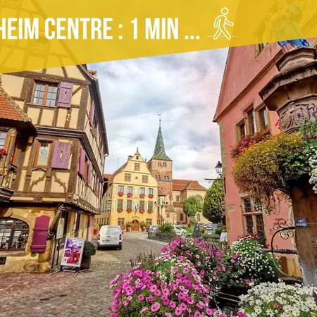 Refuge Des Vignerons - Apartman Turckheim