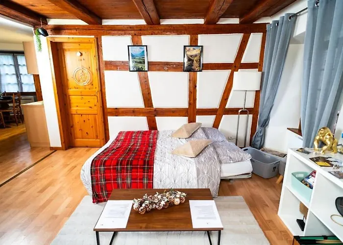 Apartman Refuge Des Vignerons - Turckheim