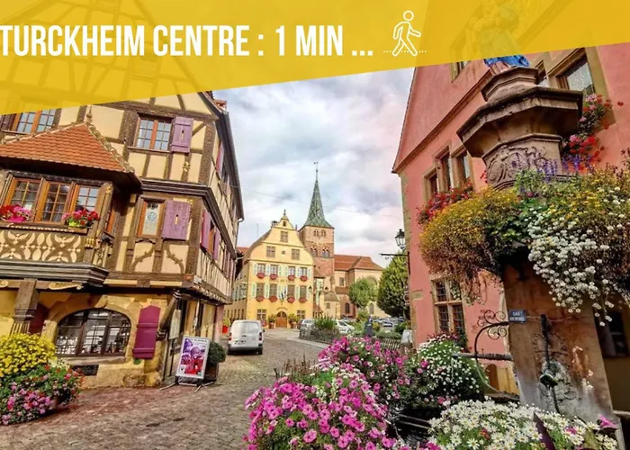 Refuge Des Vignerons - Apartman Turckheim